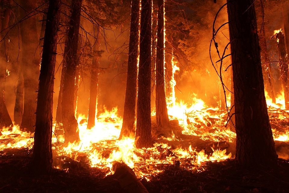 Waldbrand bei Jüterbog: immer noch keine Entwarnung